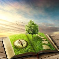 Illustration,Of,Magic,Opened,Book,Covered,With,Grass,,Compass,,Tree