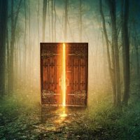 Glowing,Door,In,The,Middle,Of,The,Forest